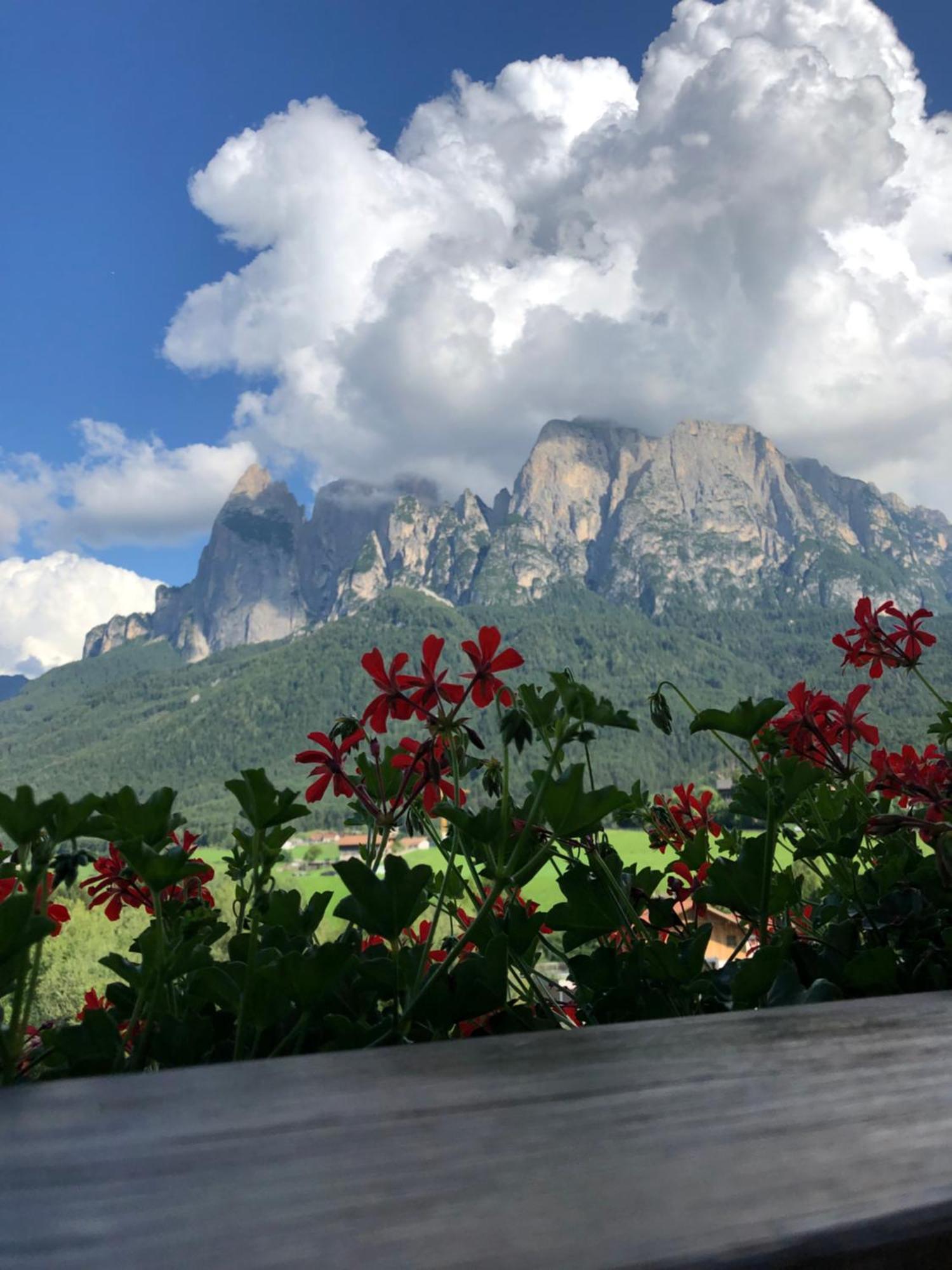 Mesnerhof My Paradise فِيي المظهر الخارجي الصورة