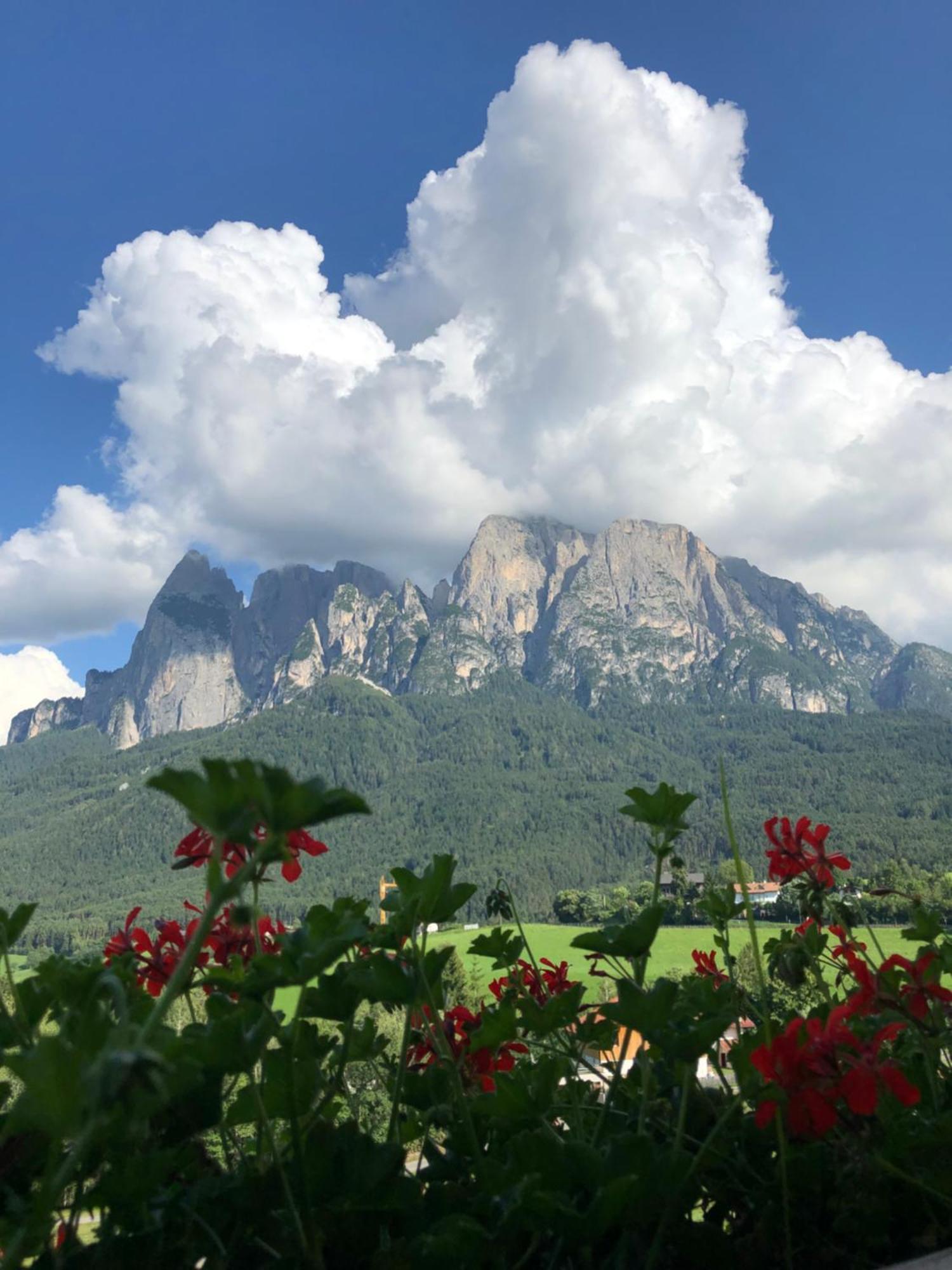 Mesnerhof My Paradise فِيي المظهر الخارجي الصورة