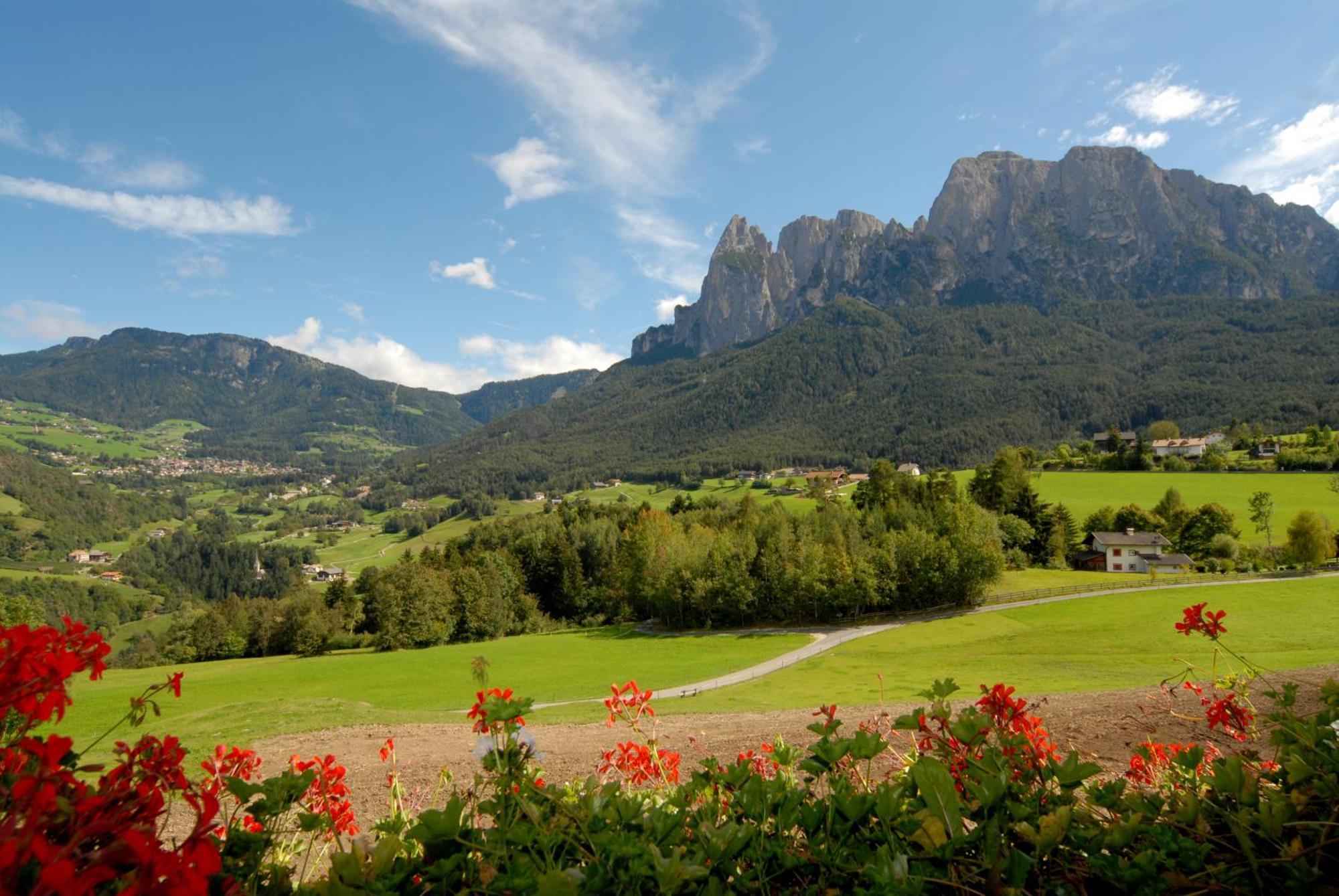 Mesnerhof My Paradise فِيي المظهر الخارجي الصورة